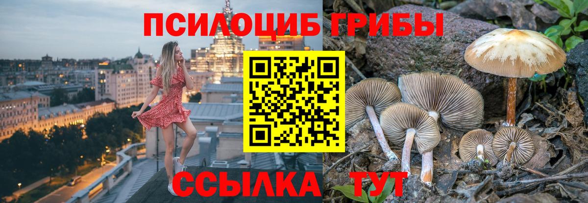Минеральные Воды  Псилоцибиновые грибы Psilocybe  Вход с VPN 