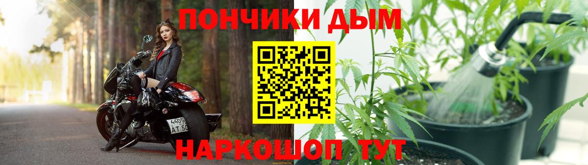 Бошки марихуана сатива  Шишки марихуана план  МАРИХУАНА White Widow  Вход с VPN  Минеральные Воды 